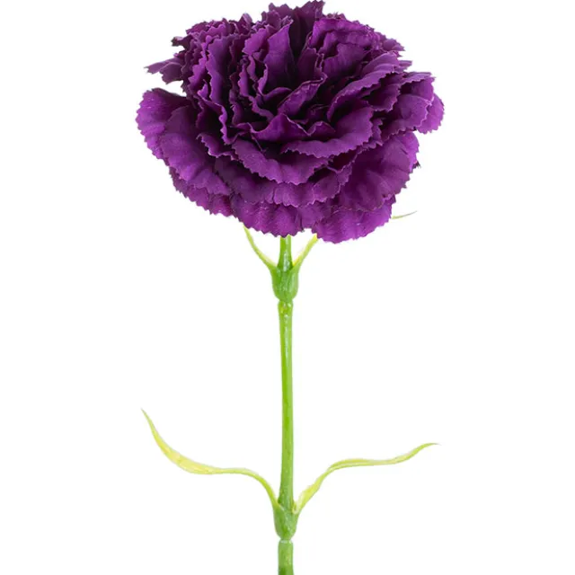 Carnation Ruffle Stem Dark Purple (9cmDx42cmH)