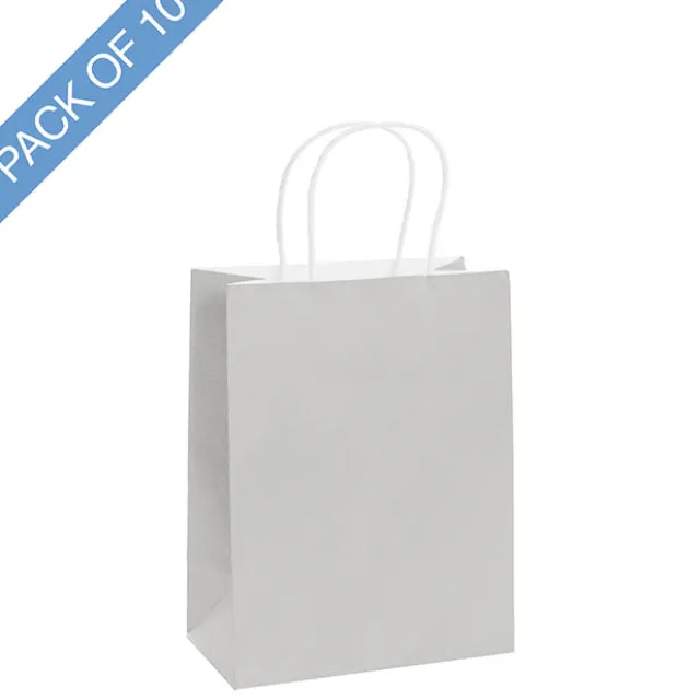 Kraft Paper Bag Shopper Medium Silver Pk10(205Wx110Gx275mmH)