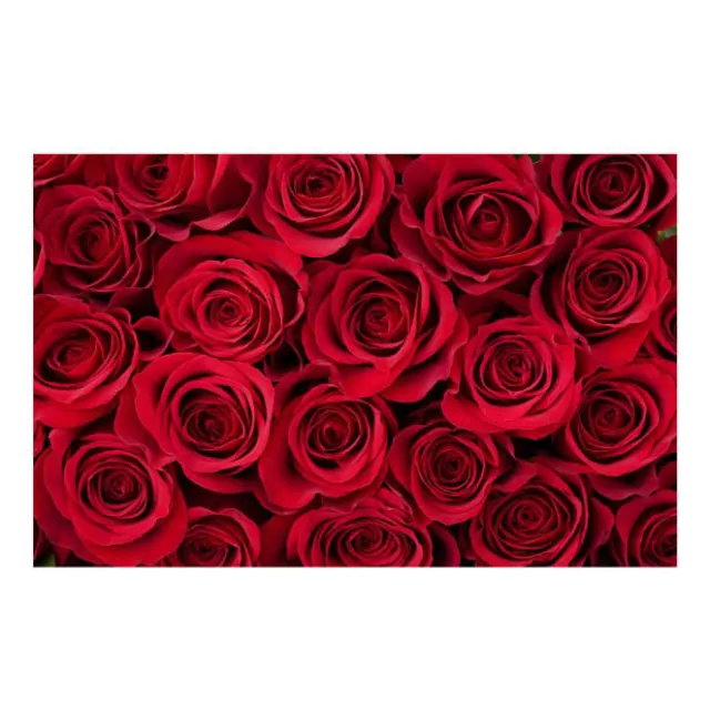 Cards Roses Bunch Red (10x6.5cmH) Pack 50