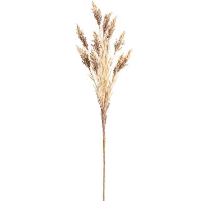 Wheat Spray Soft Almond (104cmH)