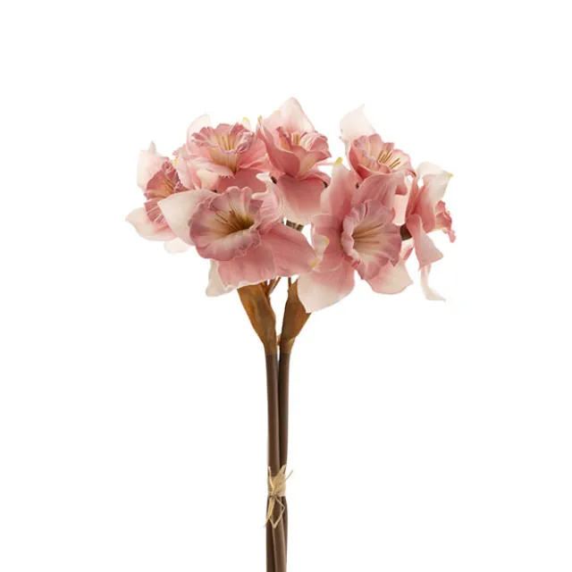 Daffodil Bunch x 9 Heads Pink (40cmH)