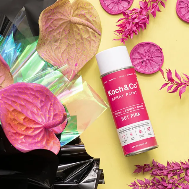 Floral Event Craft Spray Paint Hot Pink (340g)