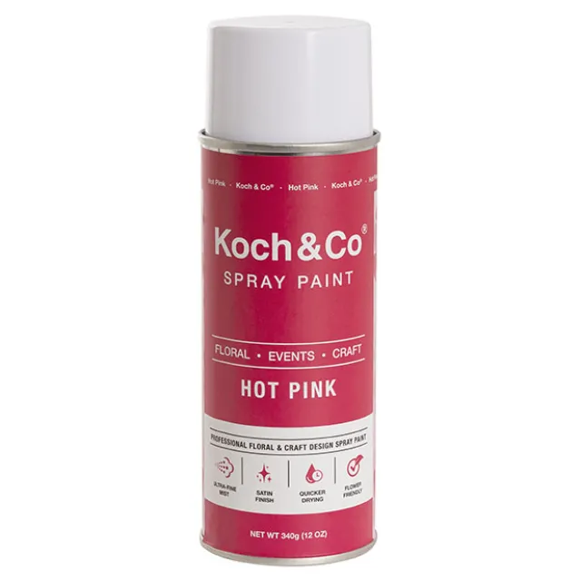 Floral Event Craft Spray Paint Hot Pink (340g)