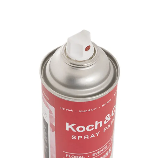 Floral Event Craft Spray Paint Hot Pink (340g)