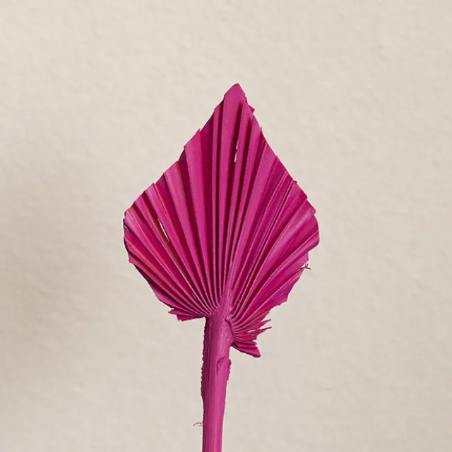 Floral Event Craft Spray Paint Hot Pink (340g)