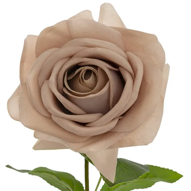 Bella Real Touch Rose Full Bloom Lge Nude (12cmDx65cmH)