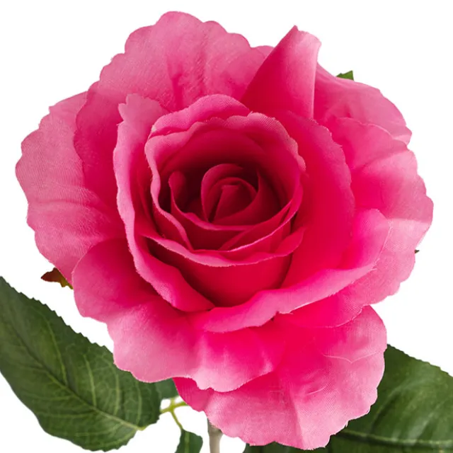 Siena Silk Rose Open Hot Pink (67cmH)